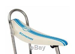 CLASSIC Schwinn Blue StingRay 2020 Model BIKE Banana Seat NEW in BOX Sting-Ray