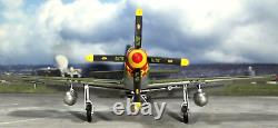 GMP Models North American P51D Mustang & Diorama 135 Scale EXTREMELY RARE