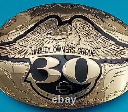 Harley Davidson Belt Buckle Hog 30th Ann. Johnson & Held Hand-crafted New In Box