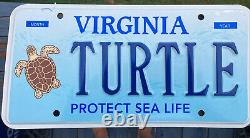 SINGLE Virginia LICENSE PLATE Protect Sea Life box TURTLE Specialty Wildlife